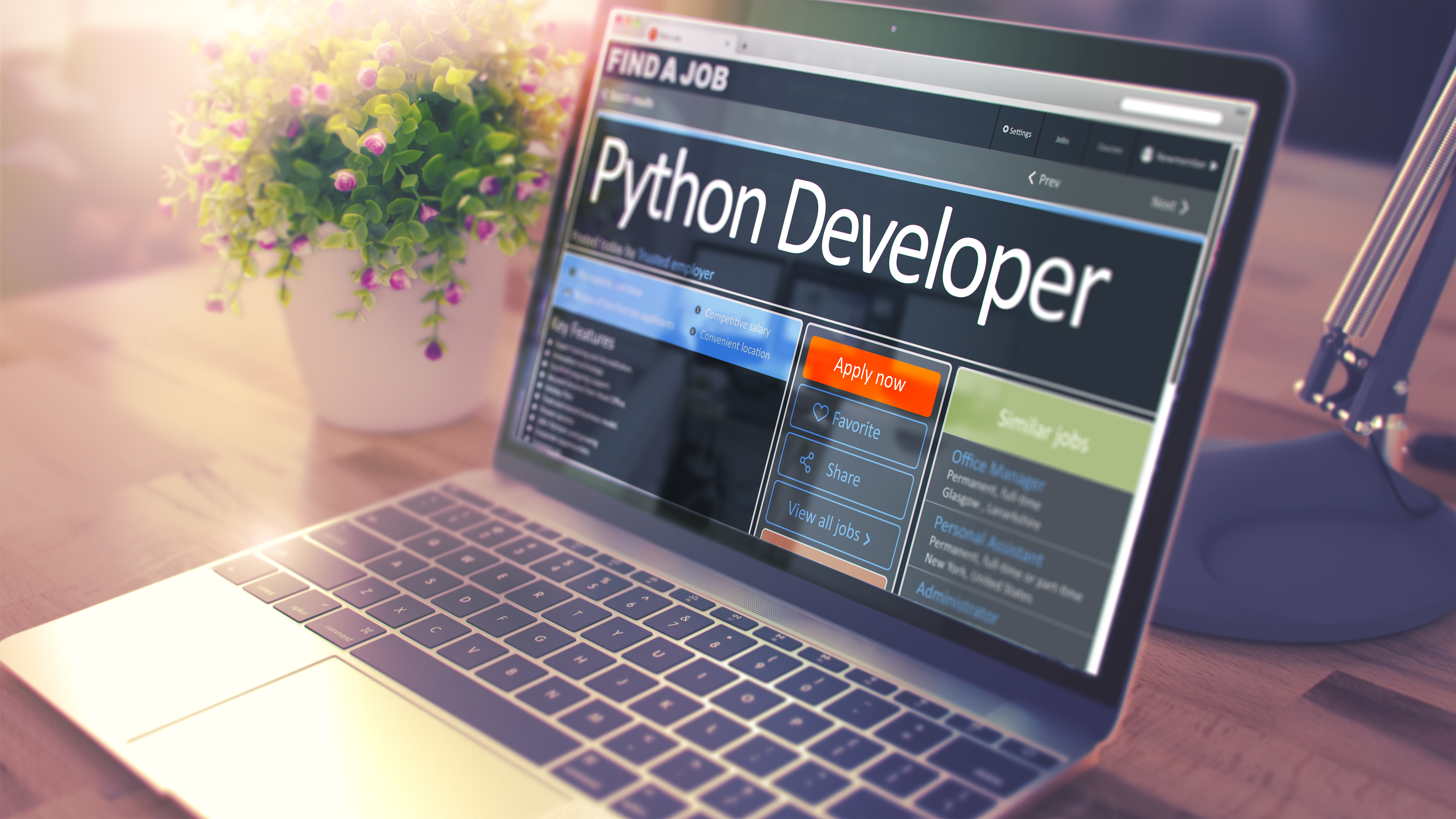 Python Development